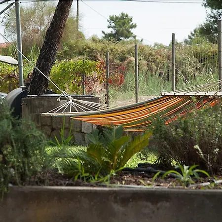 Zennova #20 Dream Nest * Vourvourou