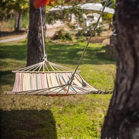 Zennova #20 Dream Nest Vourvourou