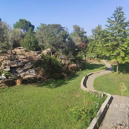 Zennova #20 Dream Nest